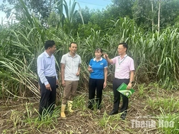 Bảo đảm an sinh xã hội&nbsp;từ chương trình cho vay hỗ trợ việc làm