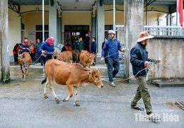 Tìm giải pháp giảm nghèo bền vững ở Trung Lý