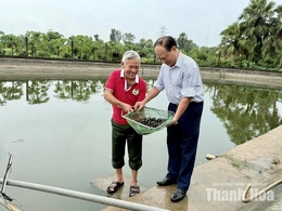 Lão nông thất thập và khát vọng vươn lên làm giàu