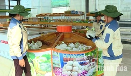 Nhiều sản phẩm OCOP “mất sao”