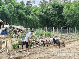 Đổi thay từ những mô hình&nbsp;kinh tế ở Mường Mìn