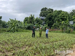 Những cựu chiến binh làm theo lời Bác ở phường Bỉm Sơn