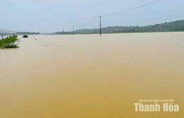 Hàng trăm ha cây trồng ở các xã Vân Du, Kim Tân bị ngập lụt