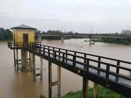 Nước lũ trên sông Bưởi sắp lên mức báo động II