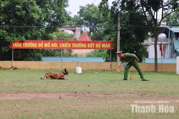 Cảnh sát cơ động Thanh Hóa đoạt 3 giải tại hội thi cán bộ huấn luyện, chó nghiệp vụ giỏi