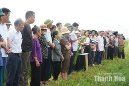 Đánh giá mô hình canh tác lúa thân thiện với môi trường