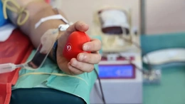 Robot siêu nhỏ giúp tăng tốc quá trình phân giải cục máu đông