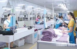 Hỗ trợ doanh nghiệp thực thi các FTA, mở rộng cánh cửa xuất khẩu