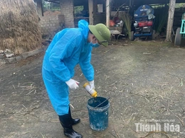 Chuẩn bị các điều kiện triển khai&nbsp;tiêm phòng gia súc, gia cầm đợt 2
