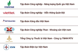 Công bố 100 DNNN nộp ngân sách lớn nhất Việt Nam