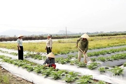 Lợi ích từ việc nâng cao&nbsp;trình độ cho cán bộ thôn