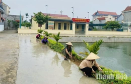 Nâng chất lượng các tiêu chí&nbsp;nông thôn mới