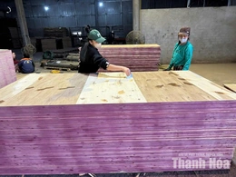 Phát triển kinh tế - xã hội,&nbsp;giảm nghèo bền vững ở vùng đồng bào DTTS