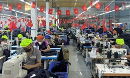 Nguyệt Ấn nỗ lực phát triển doanh nghiệp