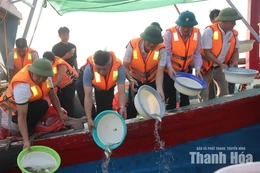 Thả cá giống tái tạo nguồn lợi thủy sản trên vùng cửa sông Lạch Sung