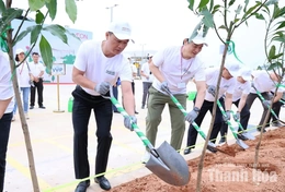 Trồng gần 5.000 cây xanh tại Trung tâm thương mại AEON MALL Thanh Hóa