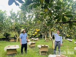 Nghỉ hưu nhưng không nghỉ khát vọng