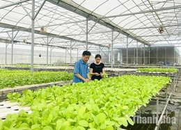 Nghị quyết 20 tạo “luồng sinh khí mới