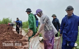 Huy động lực lượng hộ đê bao sông Cầu Chày