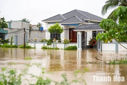 Công điện của Ban Thường vụ Tỉnh ủy về việc tập trung lãnh đạo, chỉ đạo công tác ứng phó với mưa, lũ, ngập lụt, sạt lở đất trên địa bàn tỉnh