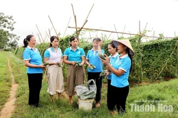 Liên kết thành viên&nbsp;để phát triển