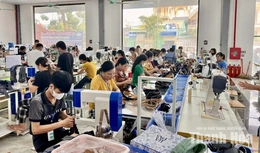 Bản tin thị trường lao động
