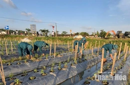 Xã Định Tân khẩn trương khôi phục sản xuất sau mưa lũ