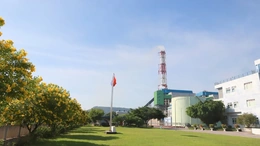 Nhiệt điện Nghi Sơn chủ động “từ sớm, từ xa” - Giữ vững dòng điện an toàn mùa mưa bão 2026