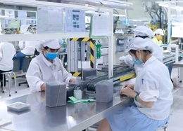 Tổ chức nước ngoài phải đăng thông tin tuyển lao động Việt Nam trên Sàn việc làm quốc gia