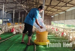 Việc làng trên vai người trẻ