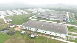 Tạo dư địa tăng trưởng từ sản xuất nông nghiệp