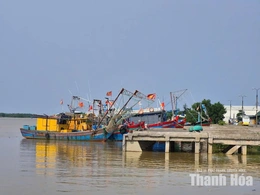 Điểm tựa cho tàu thuyền trong mùa mưa bão