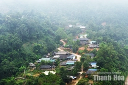 Chờ an cư trên dốc Pù Đứa