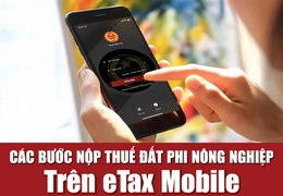 Hướng dẫn nộp thuế đất phi nông nghiệp trên eTax Mobile