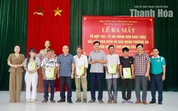 Ra mắt Tổ hợp tác, Tổ hội Nông dân khai thác hải sản ven biển xã Tiên Trang