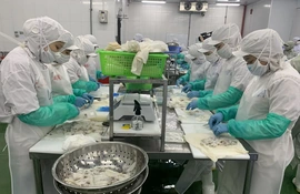 Tín hiệu vui trong đầu tư tín dụng ở giai đoạn “nước rút”