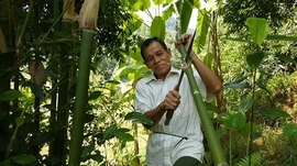 Thoát nghèo bền vững từ những mô hình sinh kế phù hợp