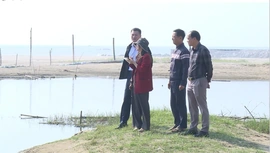 Bất cập trong quy hoạch đất đai và những hệ lụy