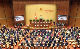 500 người trúng cử đại biểu Quốc hội khóa XVI có đủ tư cách đại biểu