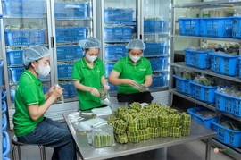 Xúc tiến thương mại những tháng đầu năm