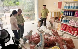 Phát hiện, tạm giữ 15 phôi cây Muội hồng không rõ nguồn gốc được ký gửi tại Bưu điện