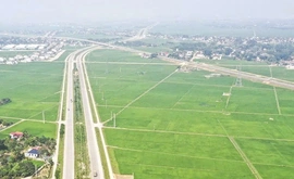 Quy hoạch vùng lúa chất lượng cao&nbsp;tạo nền tảng sản xuất quy mô lớn