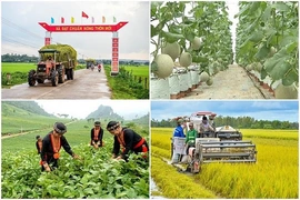 Thanh Hóa được bổ sung hơn 510 tỷ đồng vốn ngân sách Trung ương thực hiện các chương trình mục tiêu quốc gia