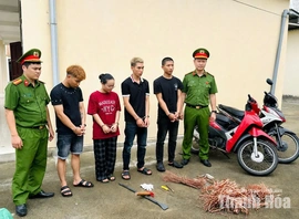 Kiên quyết đấu tranh với tội phạm trộm cắp tài sản