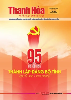 Số 228 - Chủ nhật, ngày 20/07/2025