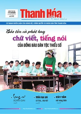 Số 242 - Thứ Sáu, ngày 07/11/2025