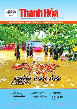 Số 240 - Thứ Sáu, ngày 24/10/2025