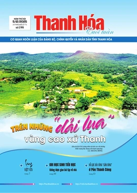 Số 246 - Thứ Sáu, ngày 05/12/2025