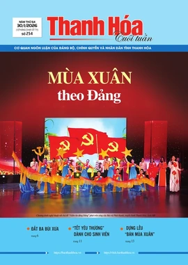 Số 254 - Thứ Sáu, ngày 30/01/2026