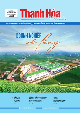 Số 261 - Thứ Sáu, ngày 20/03/2026